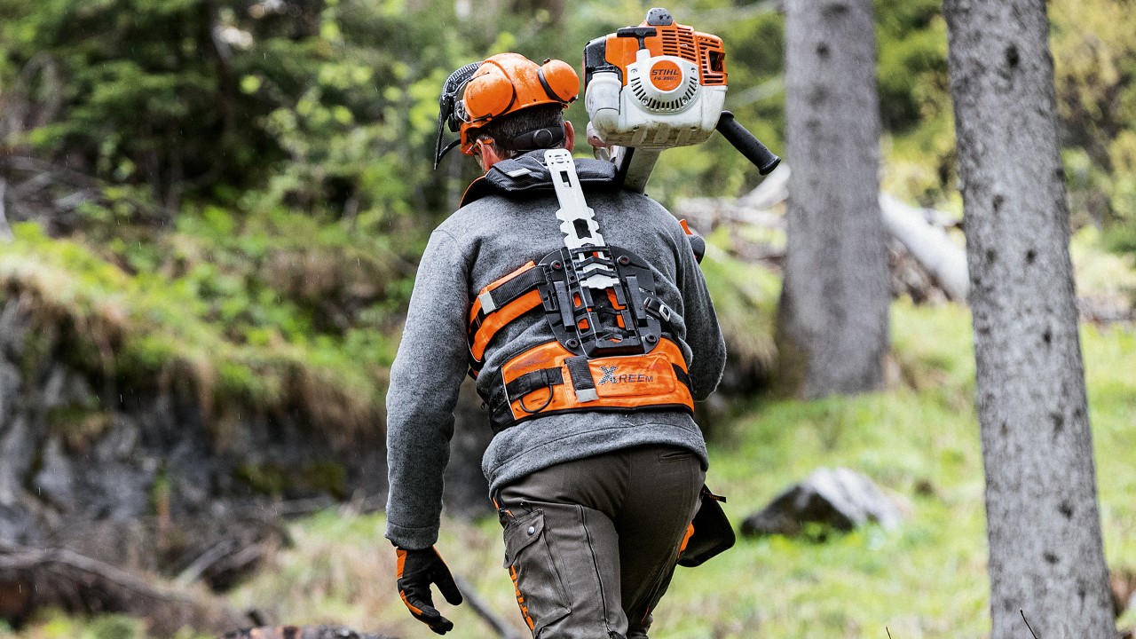Gurte / Bügel / Polster