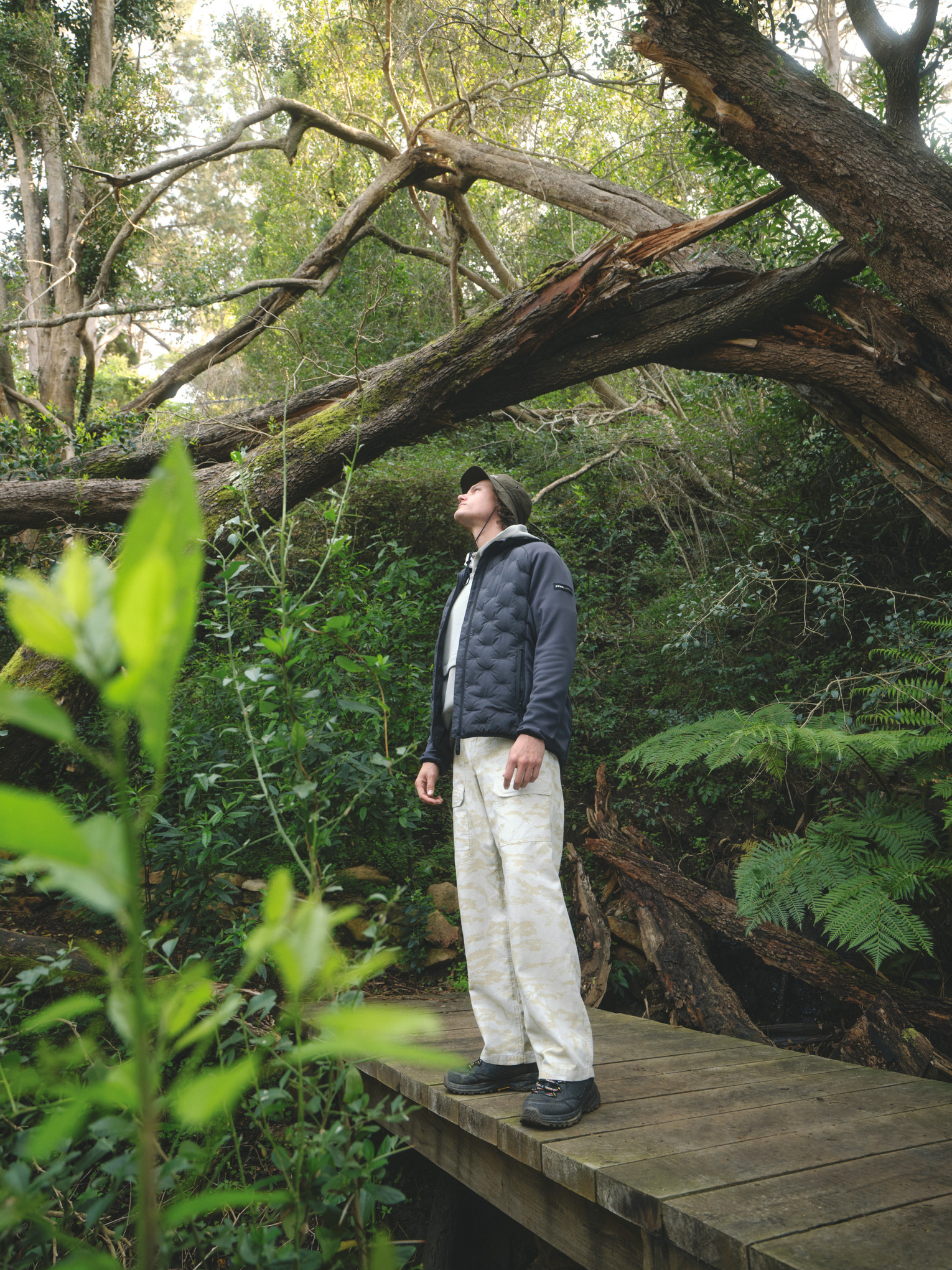 Jacke HYBRID HOOD grau Herren