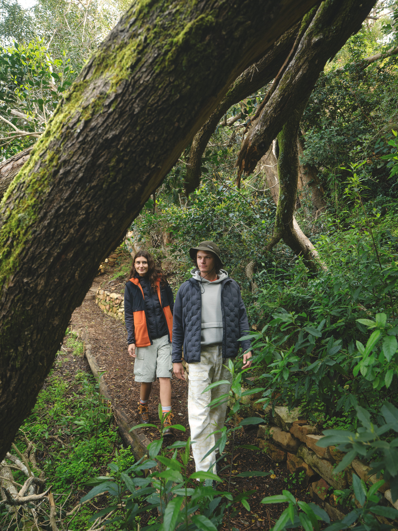 Jacke HYBRID HOOD grau Herren