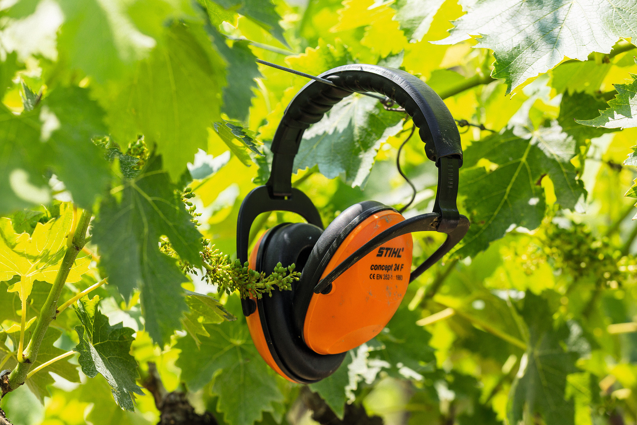 Casque ouvert antibruit Concept 24 F, repliable