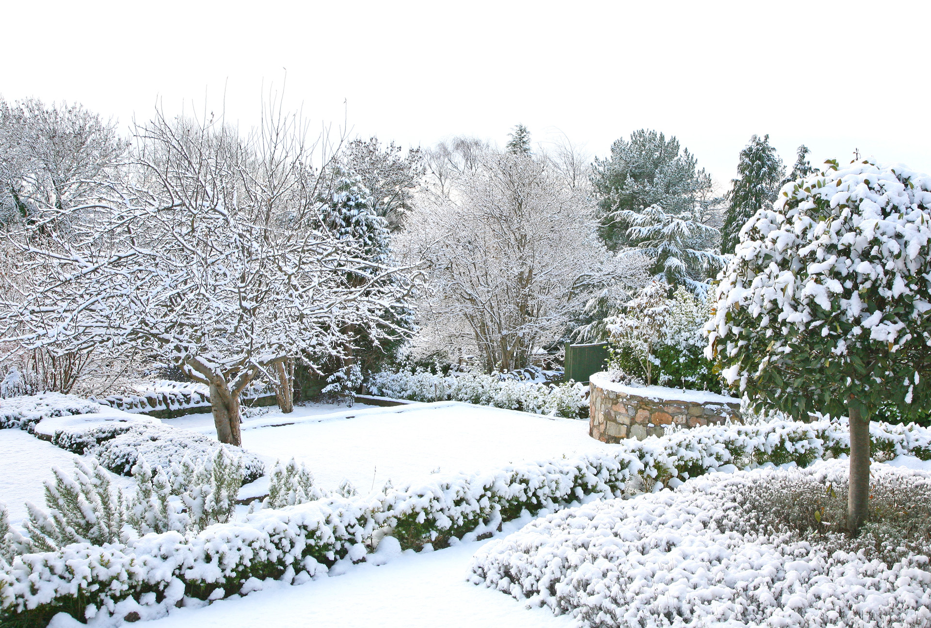 Un jardin enneigé en hiver