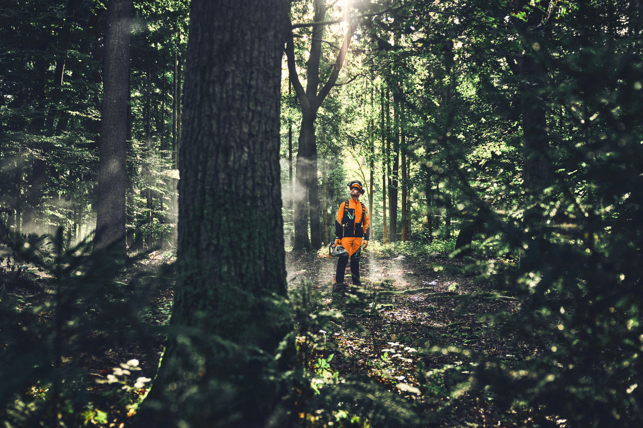 Forstarbeiter in DYNAMIC DuroTec Wear im Wald