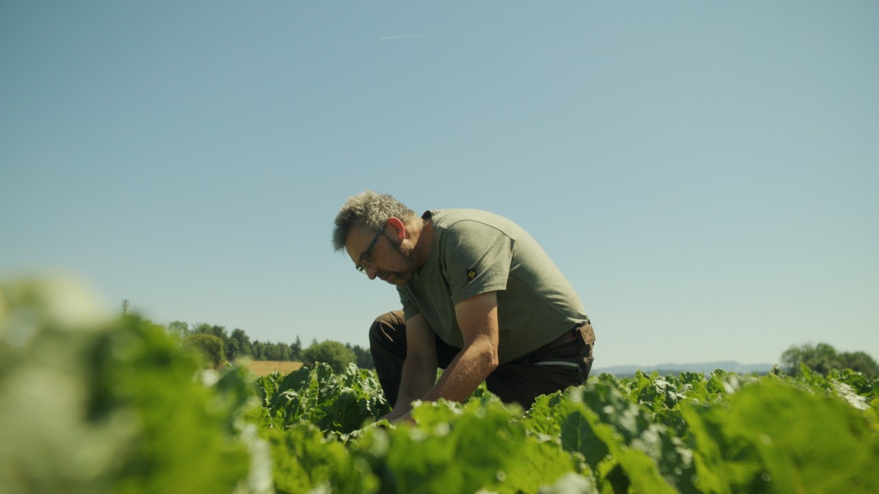 Rolf arbeitet auf einem Feld im Freien, Real People. STIHL People. Kampagne