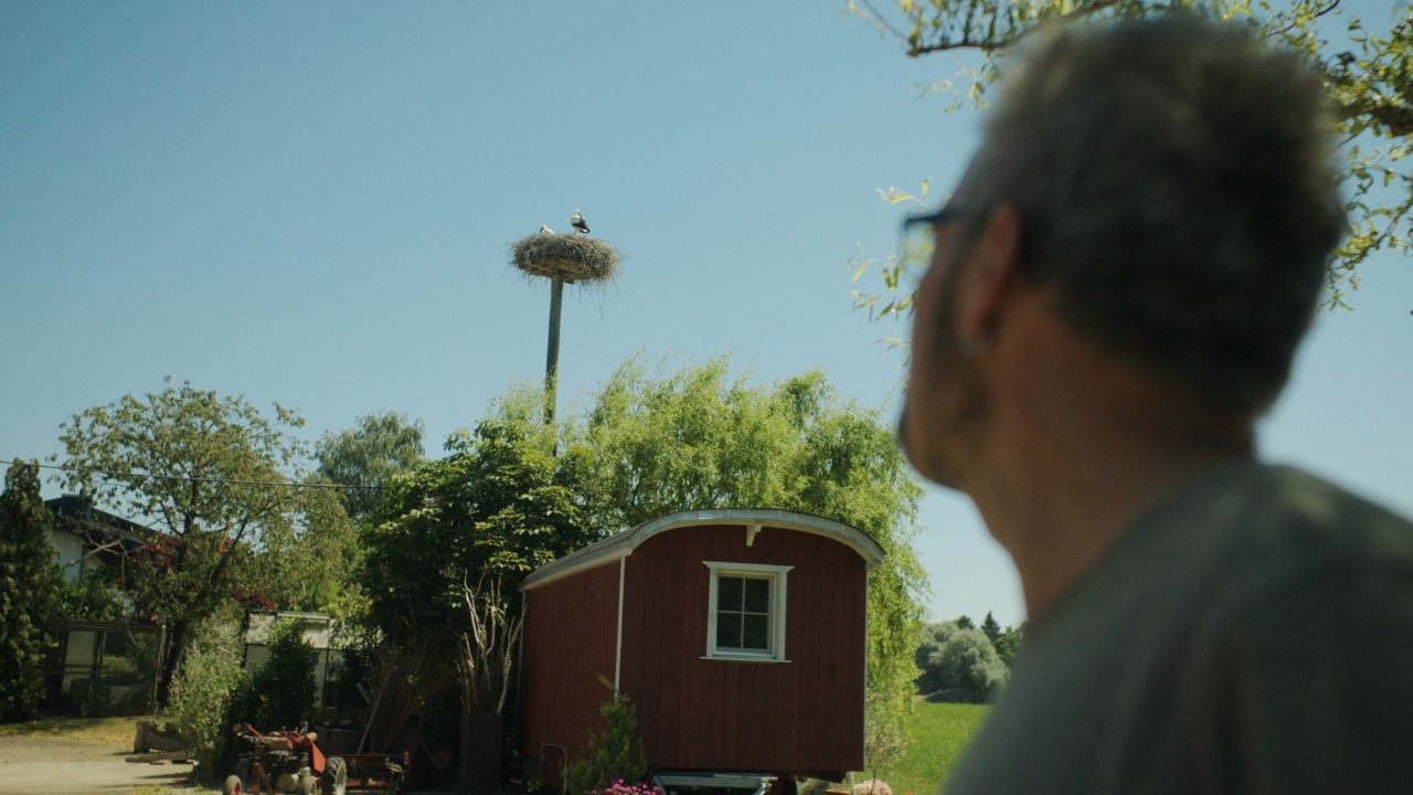 Rolf  schaut auf ein Storchennest auf einem Mast, ländliche Umgebung mit Natur im Hintergrund, Real People. STIHL People. Kampagne