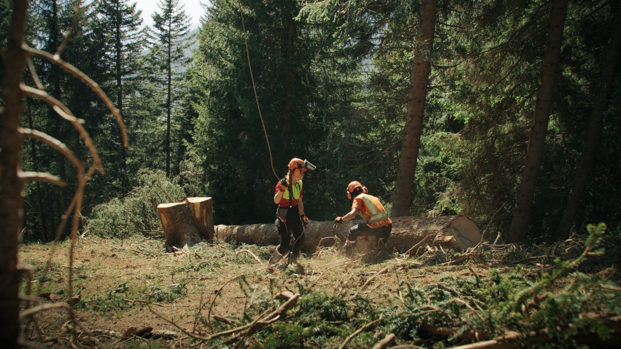 Bigna und ihr Mitarbeitender aus dem Forstbetrieb in Schutzausrüstung bei Holzarbeiten im Wald, mit Motorsäge und Arbeitsseil neben gefälltem Baum, Real People. STIHL People