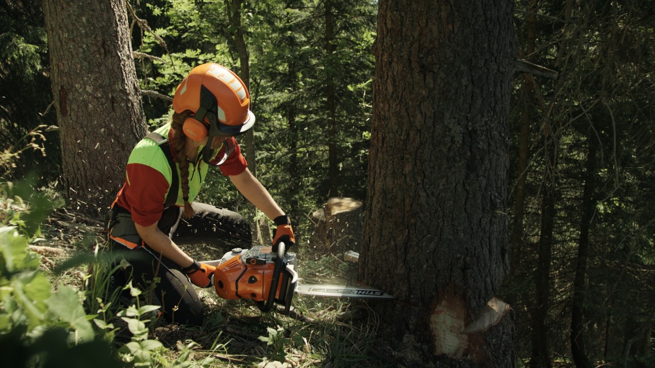 Bigna sägt mit einer STIHL Motorsäge an einem Baumstamm im Wald, Real People. STIHL People.