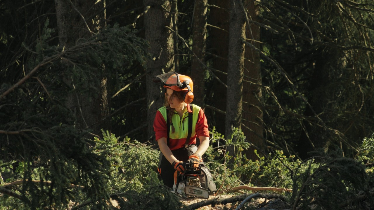 Bigna sägt mit einer STIHL Motorsäge an einem Baumstamm. Real People. STIHL People.