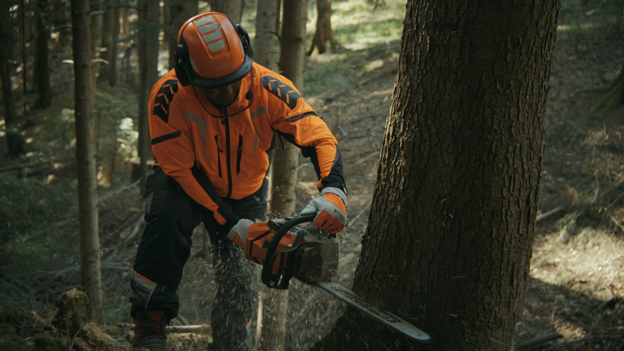 Daniel bearbeitet einen Baumstamm im Wald mit einer STIHL Motorsäge, Real People. STIHL People.