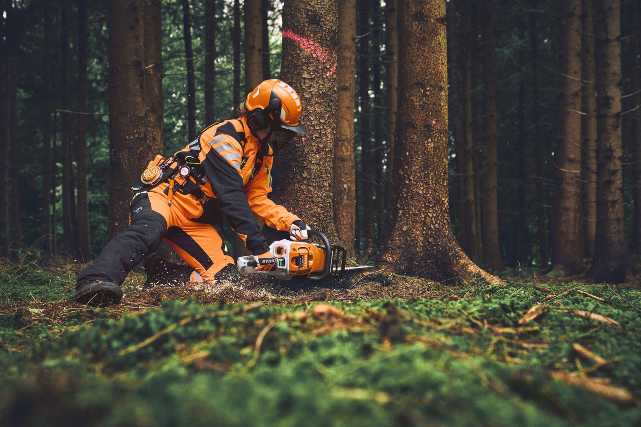 Un ouvrier forestier portant l'équipement de protection individuelle STIHL élague un arbre dans la forêt avec une tronçonneuse à batterie STIHL.