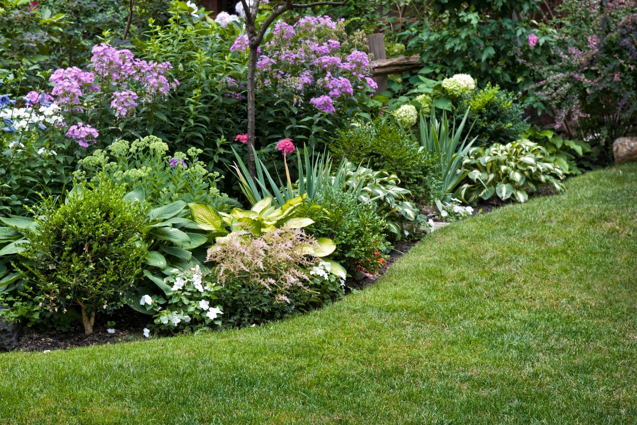 Jardin de façade à fleurs au design attrayant sur une bordure de gazon incurvée
