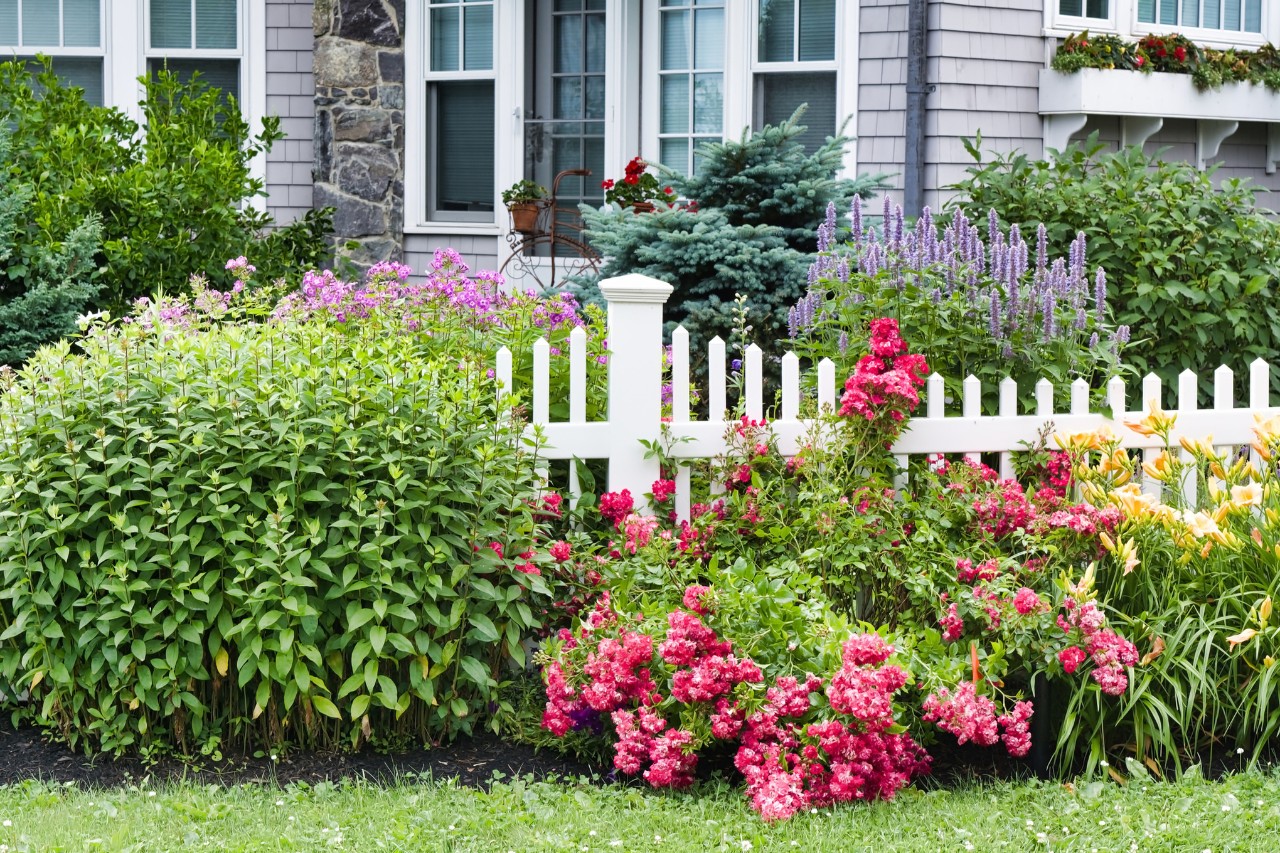 54782_designing_an_attractive_front_yard_HQ_P_2021-12_0006.jpg