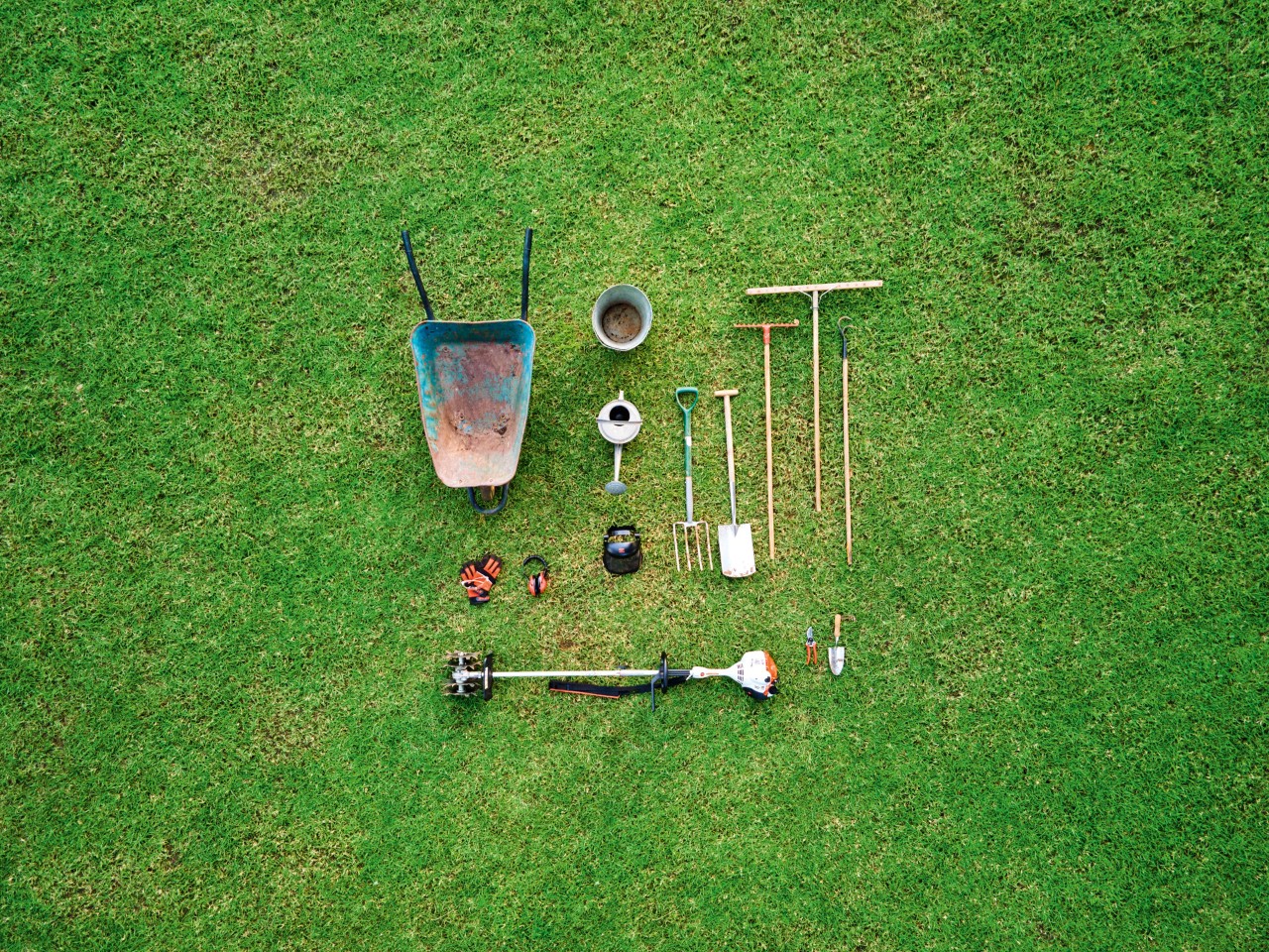 planting ground cover, maintain ground cover, ground cover
