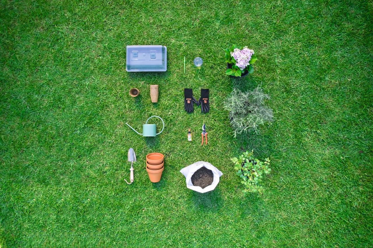 Outils et matériaux triés sur une pelouse pour couper et mettre en pot les boutures, y compris un sécateur, des gants, du terreau, une pelle, des pots et un arrosoir