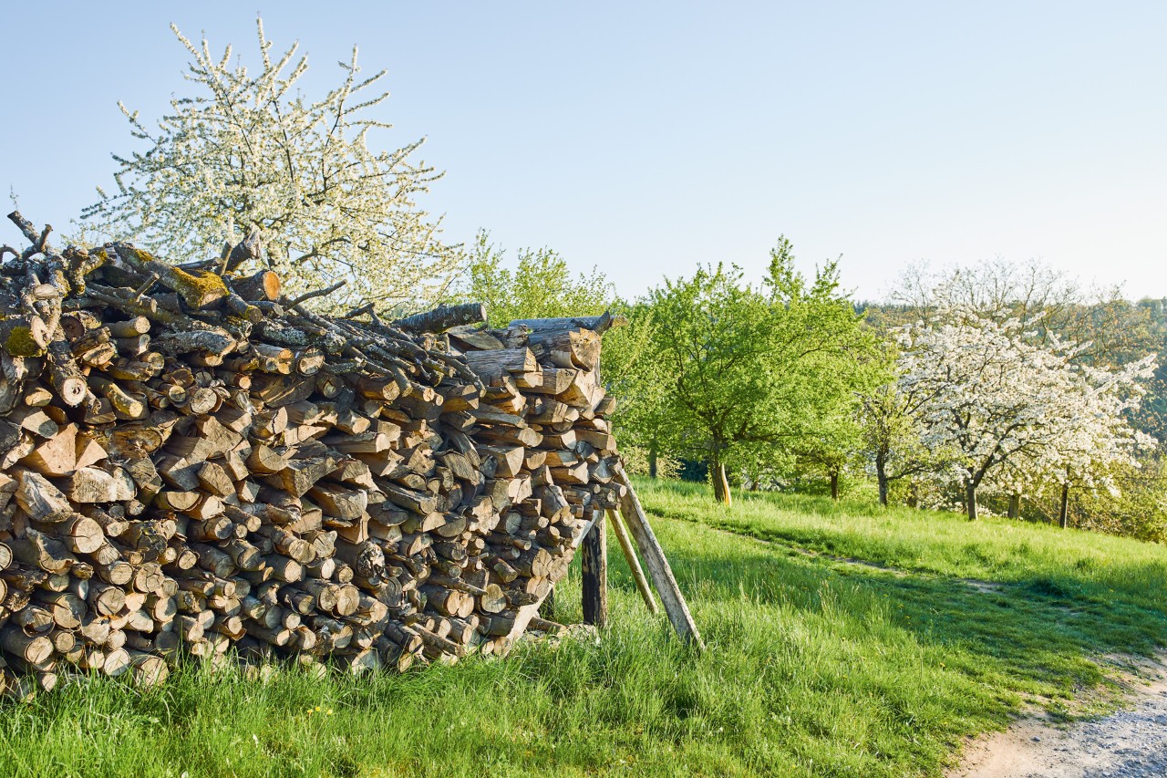 I-STIHL_NATURE_DISTANCE_GERMANY-IM-123