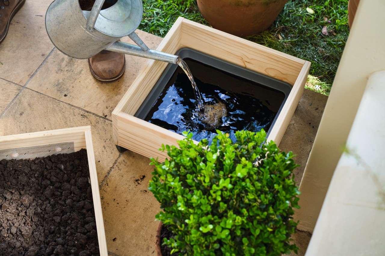 Avec un arrosoir, de l’eau est versée sur le jus de vermicompost dans l’étage inférieur 
