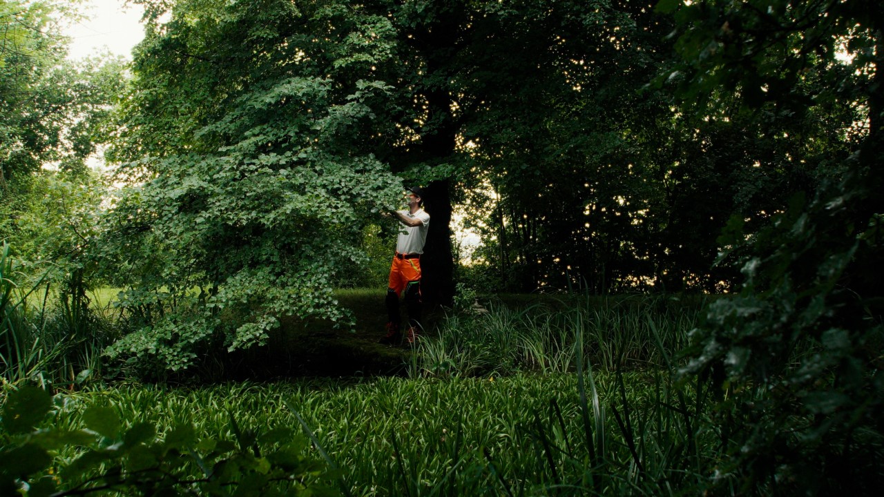 Patrick travaille sur un arbre avec de nombreuses feuilles vertes, campagne Real People. STIHL People.