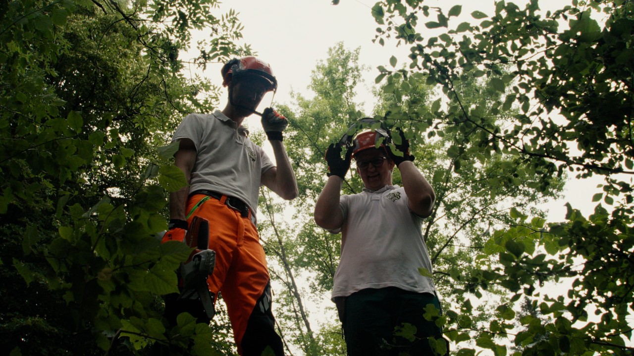 Deux personnes observent un arbre à travailler dans un contexte professionnel en extérieur
