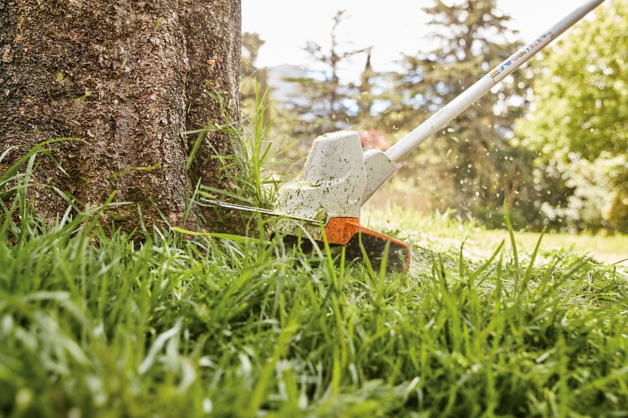  Couper les bordures d’un arbre avec la débroussailleuse à batterie STIHL FS 57