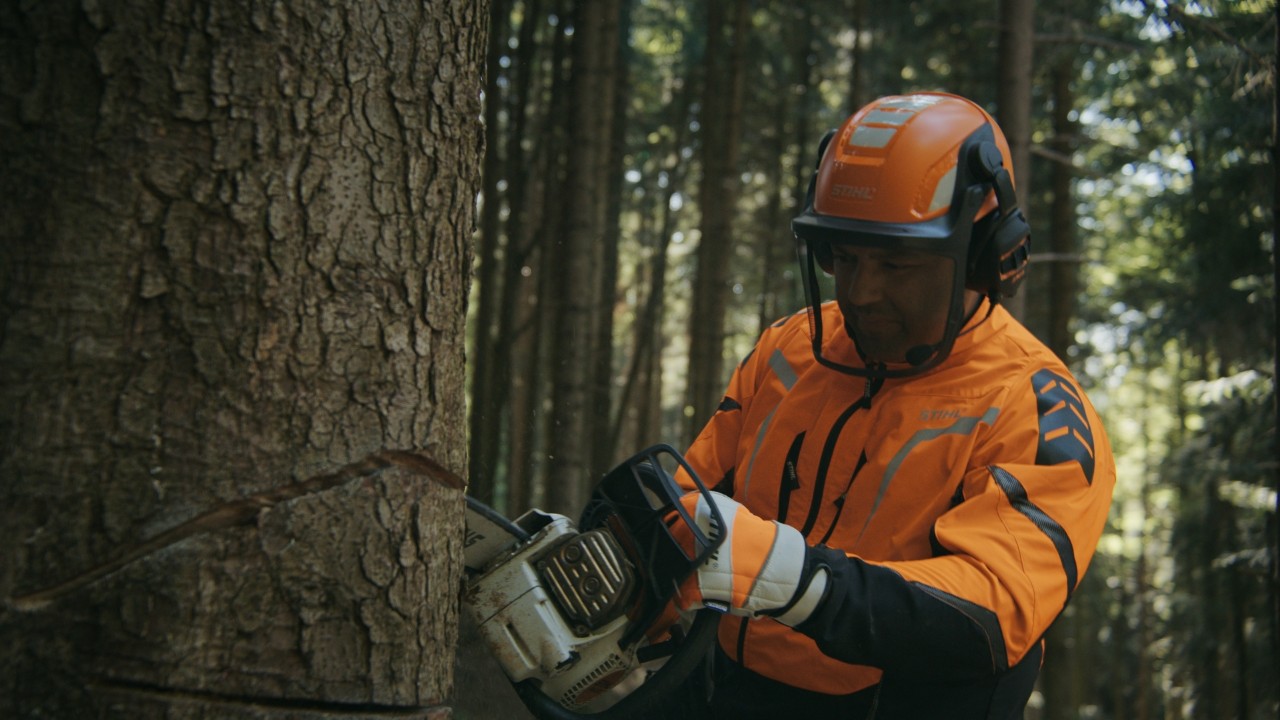 Daniel taglia un tronco nel bosco con una motosega STIHL, Real People. STIHL People.