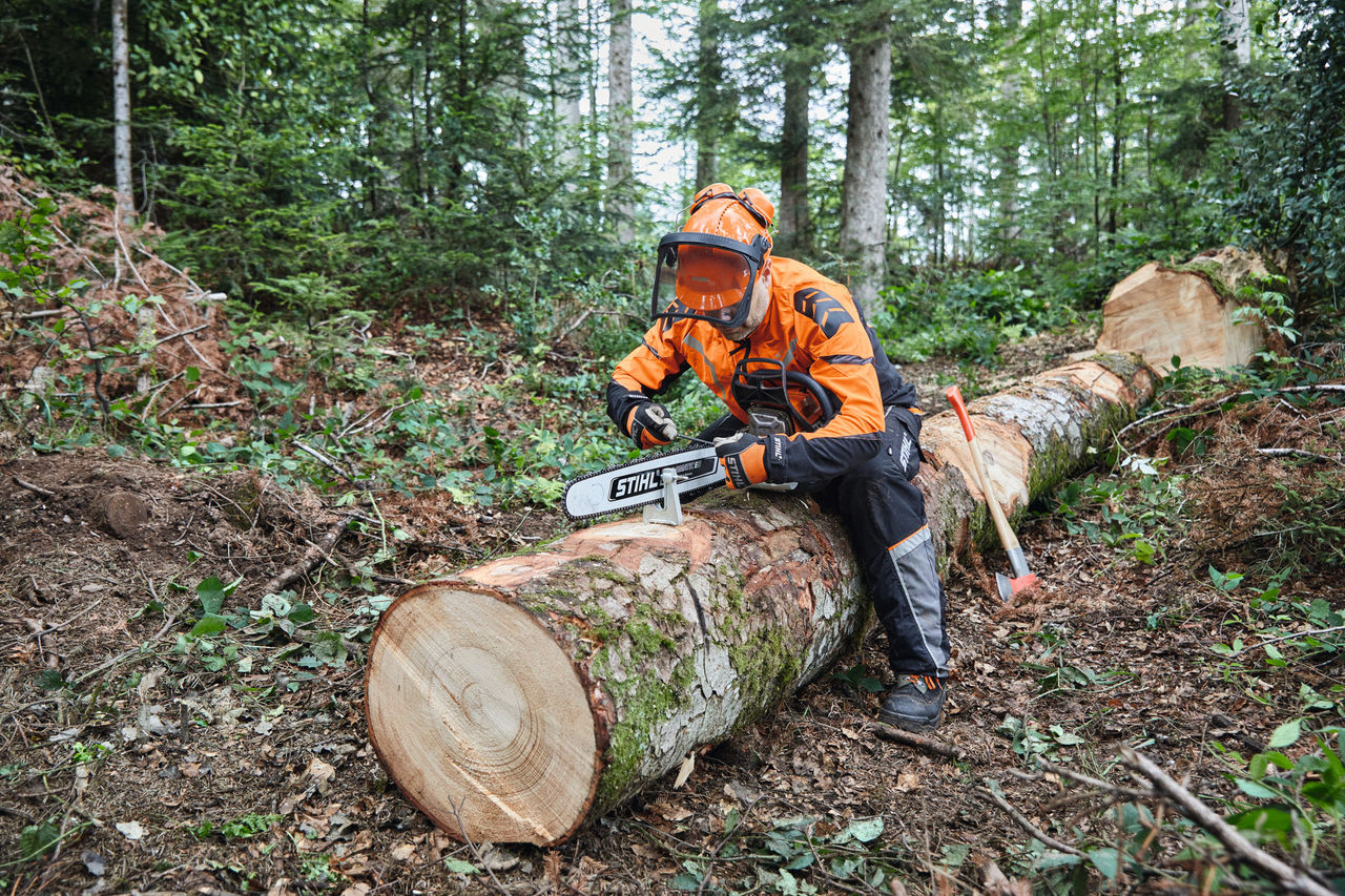 Un uomo con dispositivi di protezione usa una motosega STIHL con una spranga integrale per tagliare un albero già abbattuto