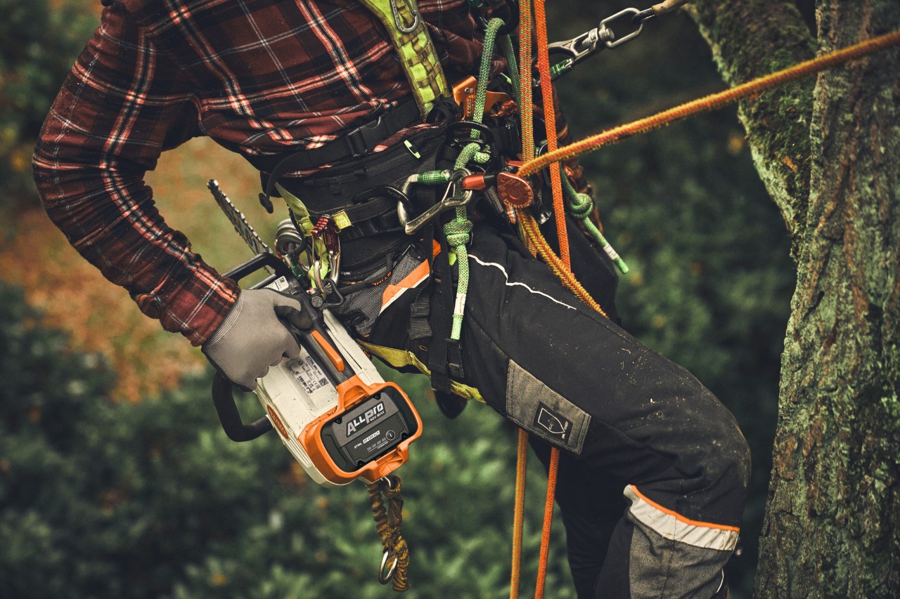 Primo piano di un uomo che si arrampica su un albero con una batteria ALLPRO montata su una motosega a batteria STIHL MSA 190 T