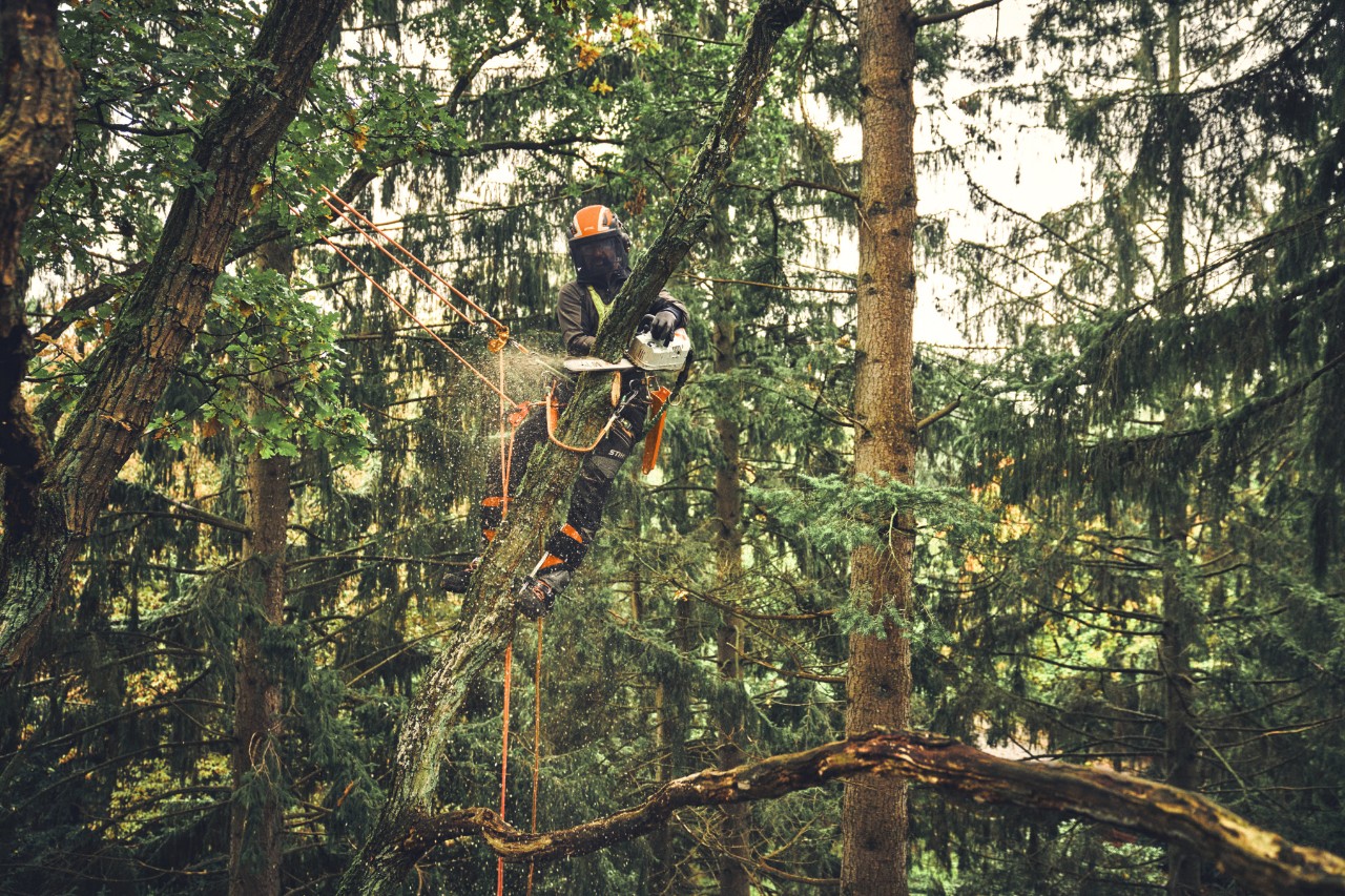 MSA 220 T in azione durante la cura degli alberi