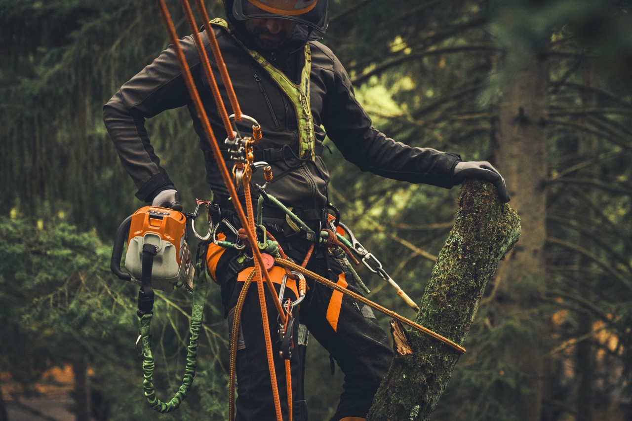 Un uomo è in piedi su una piattaforma elevatrice e sta segando dei rami con la motosega a batteria STIHL MSA 190 T
