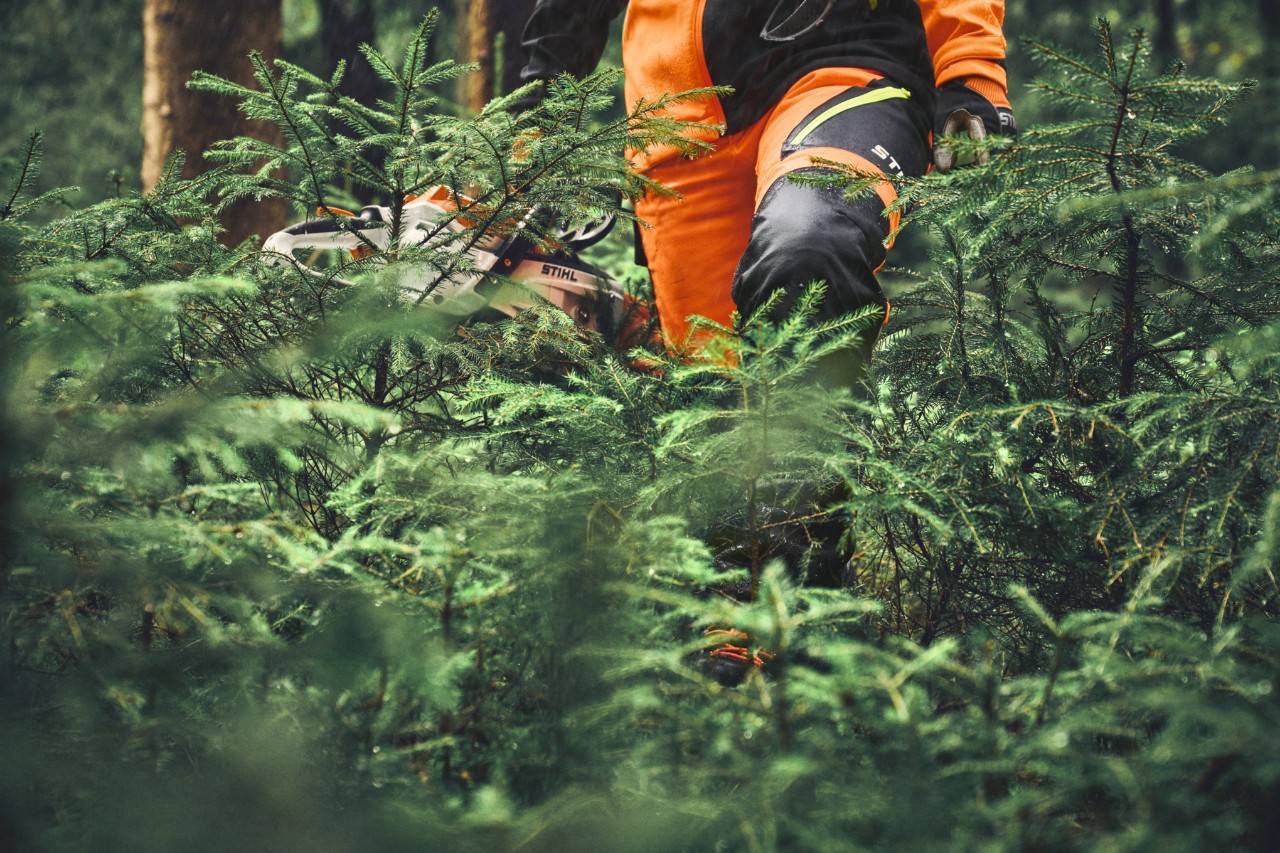 Primo piano dei pantaloni STIHL ADVANCE FlexTEC ShellTEC in un bosco di conifere